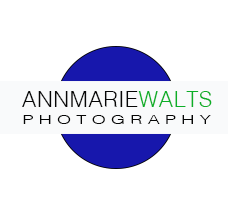 Western Ma Photographer - Portraits-Marketing